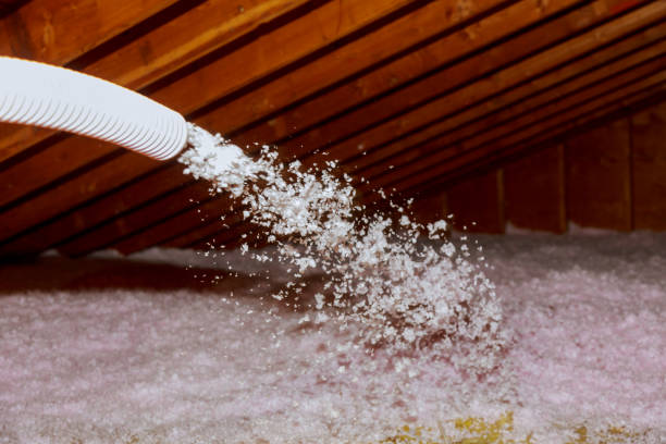 Best Insulation Maintenance and Repair in Port Republic, NJ